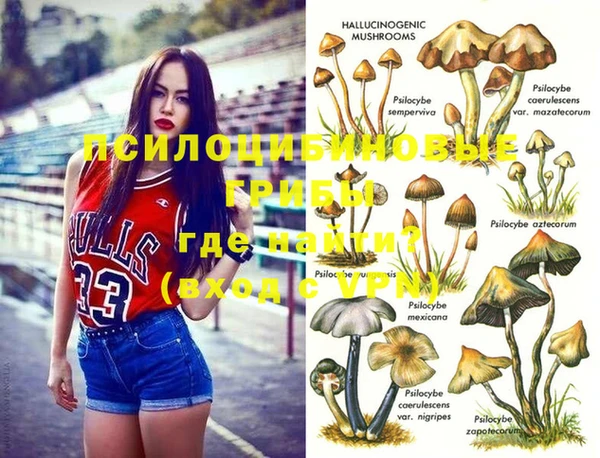 не бодяженный Аркадак