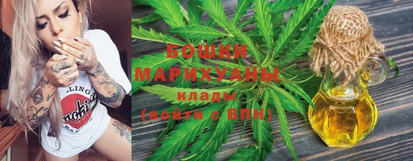 МДПВ Осинники