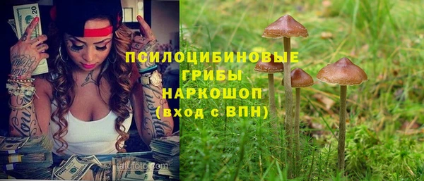 стаф Армянск